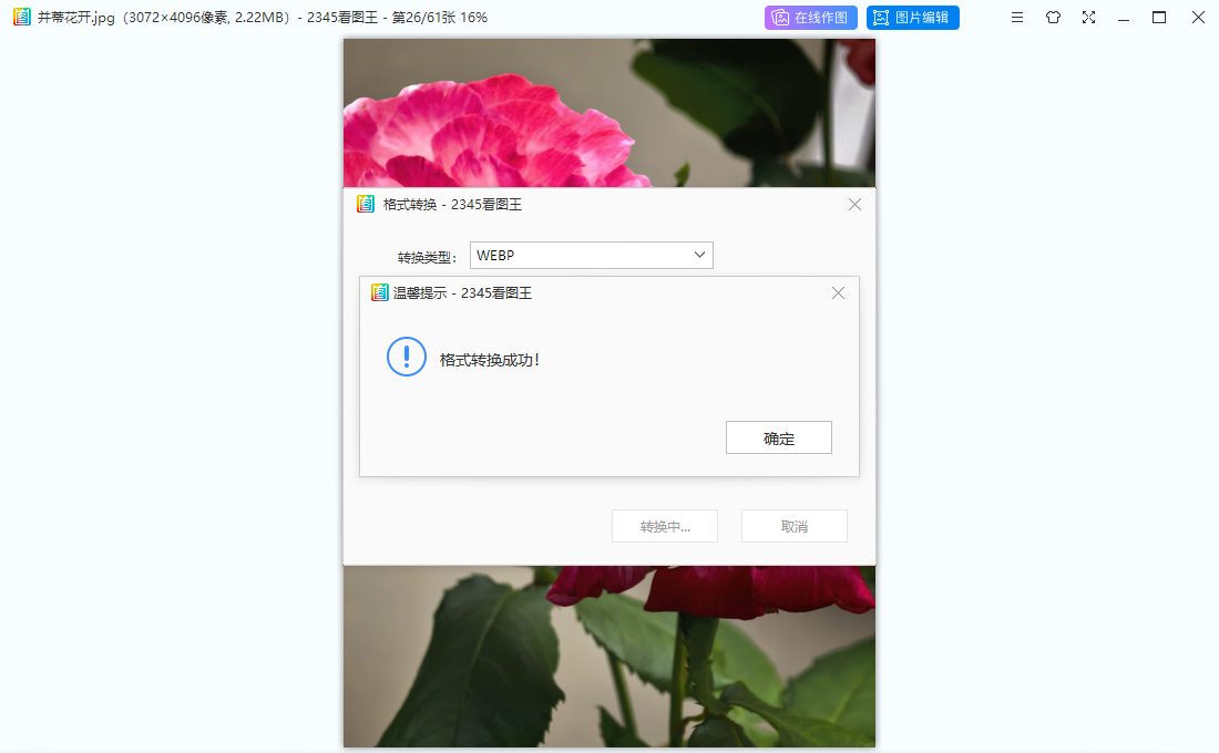 HEIC → WEBP 直接发送