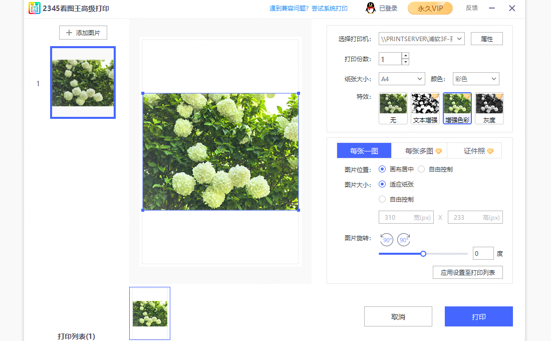 旅游照 打印