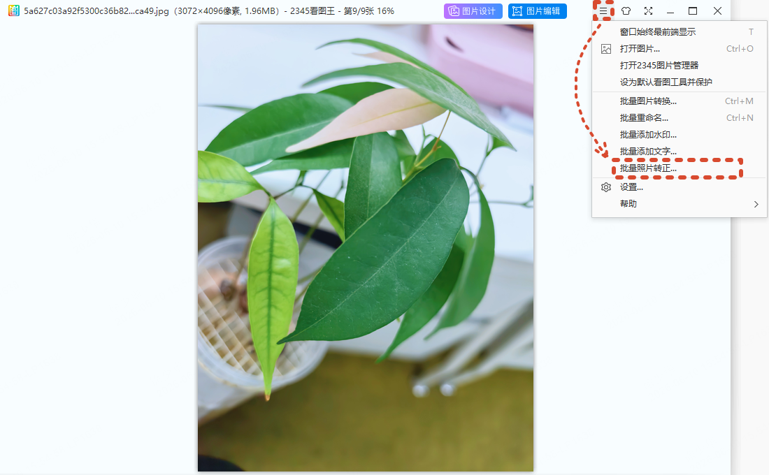 打开 GIF：缩略图